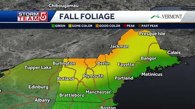 New England foliage forecast: Early colors appearing across Vermont, Maine, NH - Vimarsana News