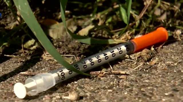Lawmakers fail to override governor's veto on short of safe needle - Vimarsana News