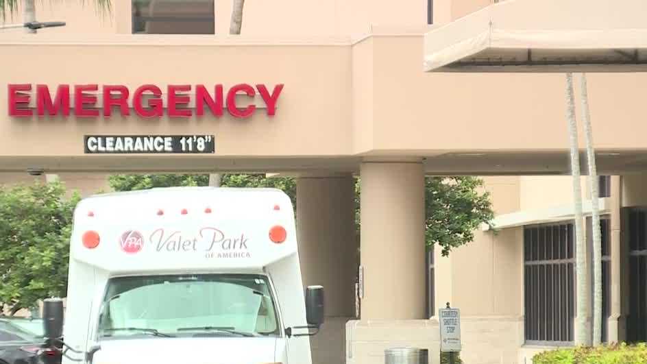 Leprosy cases surging in Florida  WPBF West Palm Beach