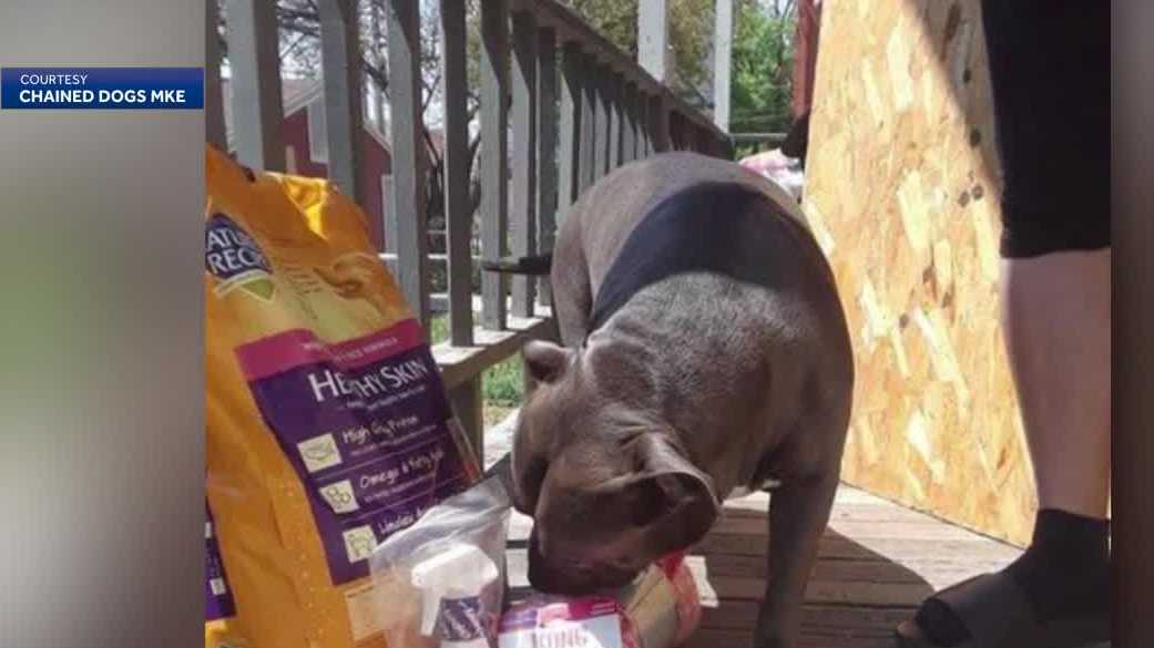 As demand grows, Milwaukee group asks community to help keep pets fed