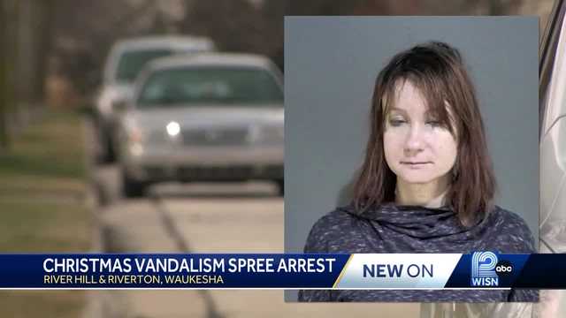 Waukesha police: Woman damages 23 cars and homes in Christmas-night spree - Vimarsana News