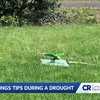 Consumer Reports provides tips to save water and maintain your yard during dry conditions