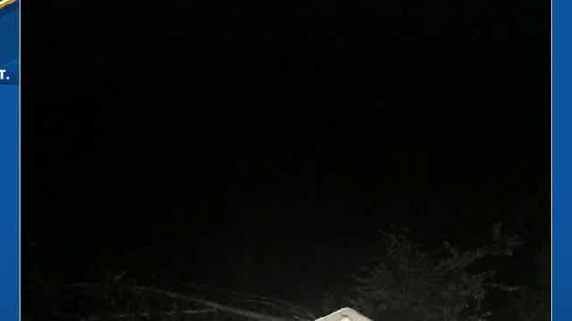 Tree lands on home in Marlborough as severe storms move through NH - Vimarsana News