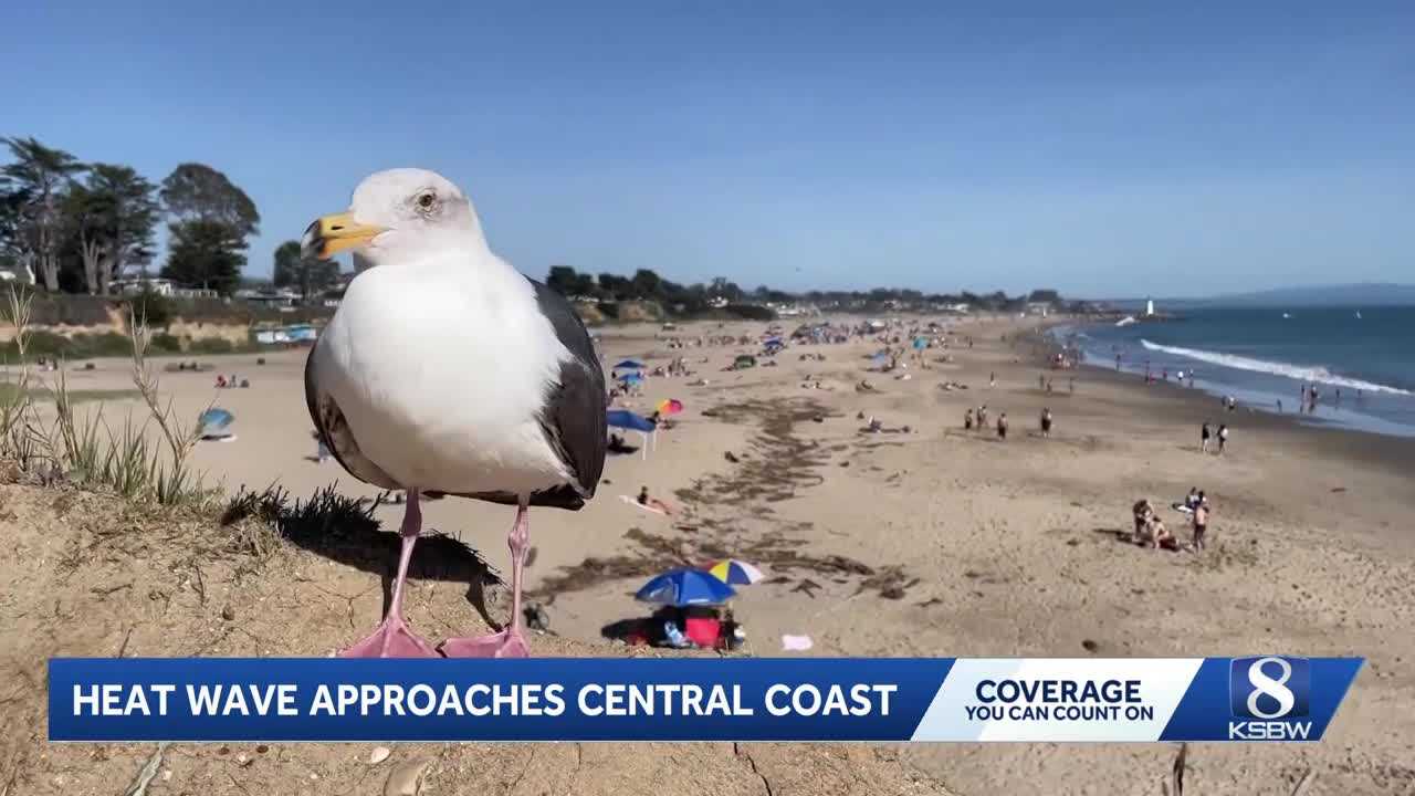 Warm weather draws crowds to Central Coast beaches and parks