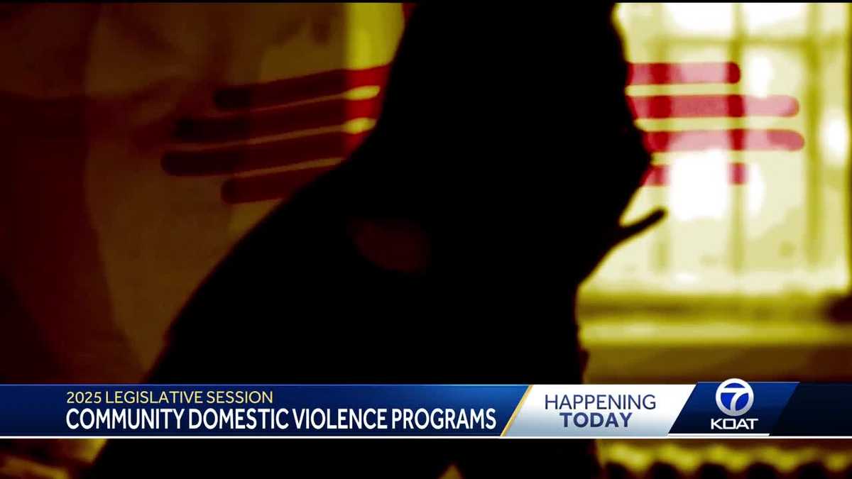 2025 legislative session bill to help domestic violence victims