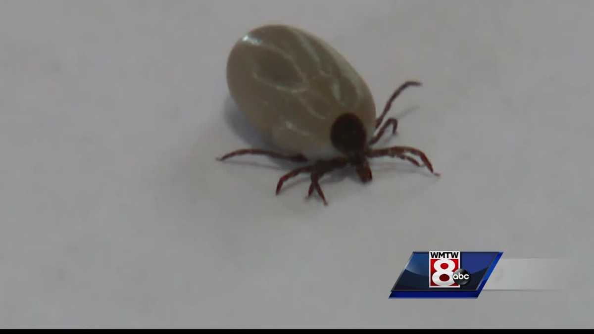 Lyme disease can alter patients lives forever