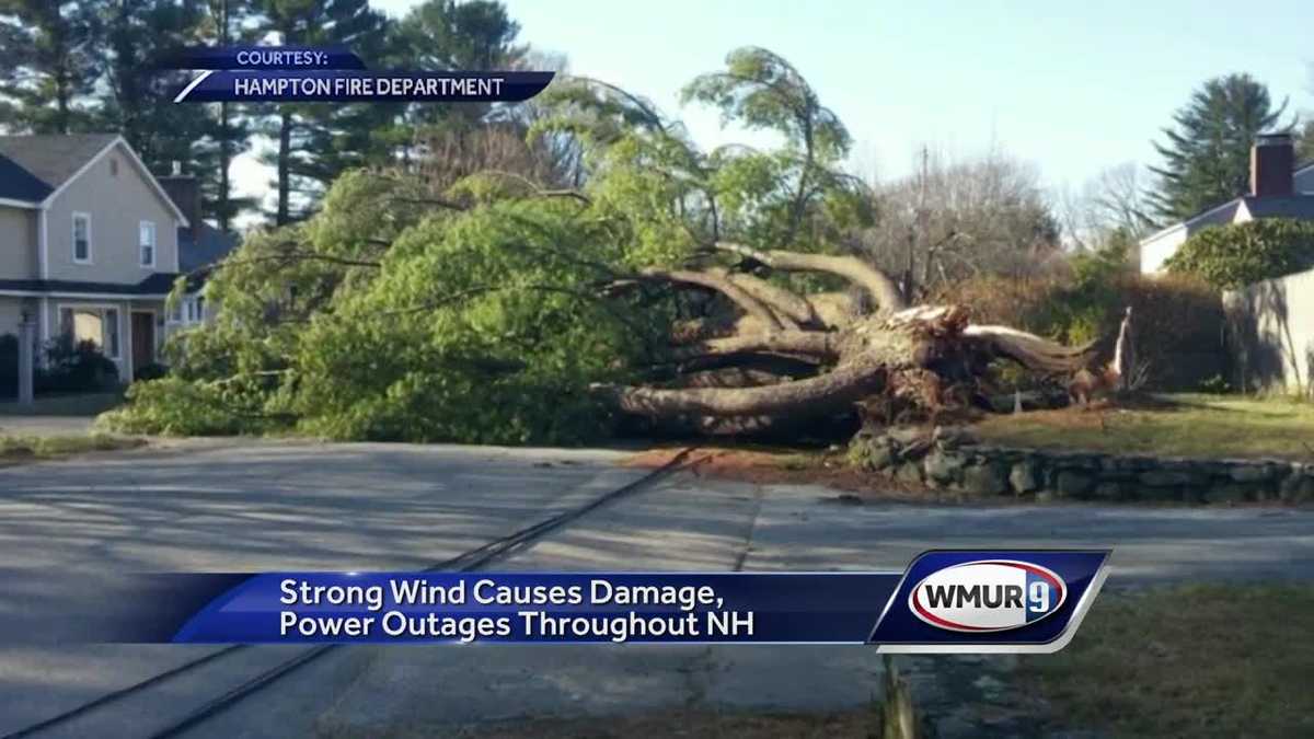 Strong winds bring down trees, power lines across NH