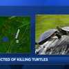 NH man, 78, accused of killing 15 turtles with UTV convicted on animal cruelty charges