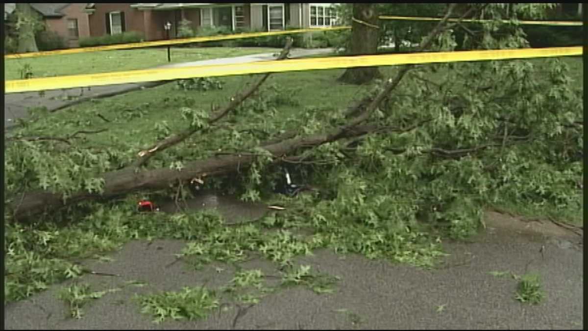 Boy critically injured when tree falls on him