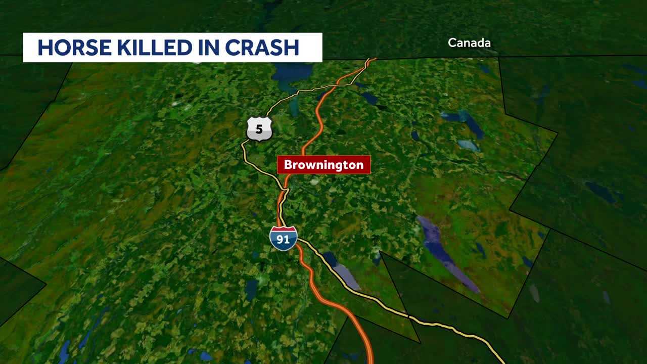 Horse killed, Vermont driver uninjured after vehicle collides with escaped animal Friday night