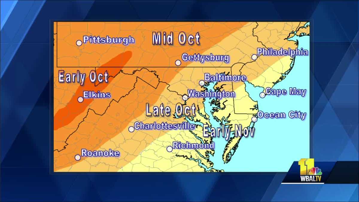 What determines fall leaf color? Weather Talk explains