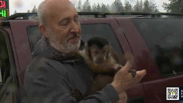 Monkey, kangaroo travel through snow to get to Manteca school - Vimarsana News