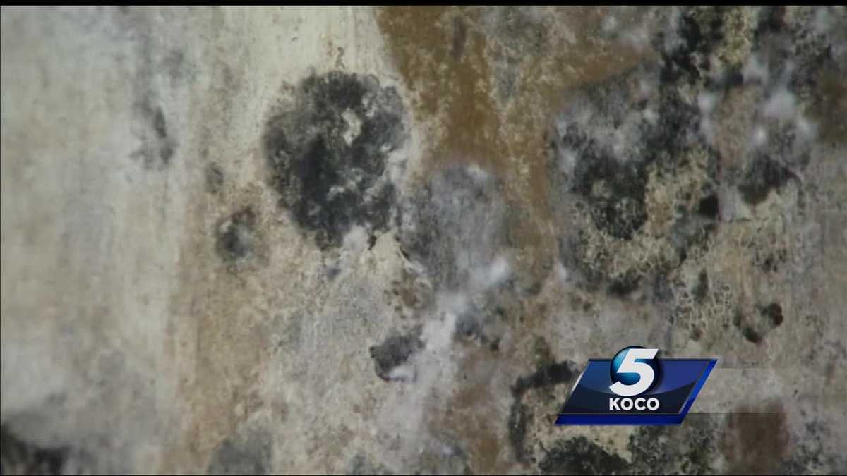 Study reveals mold infestation at Oklahoma County Jail