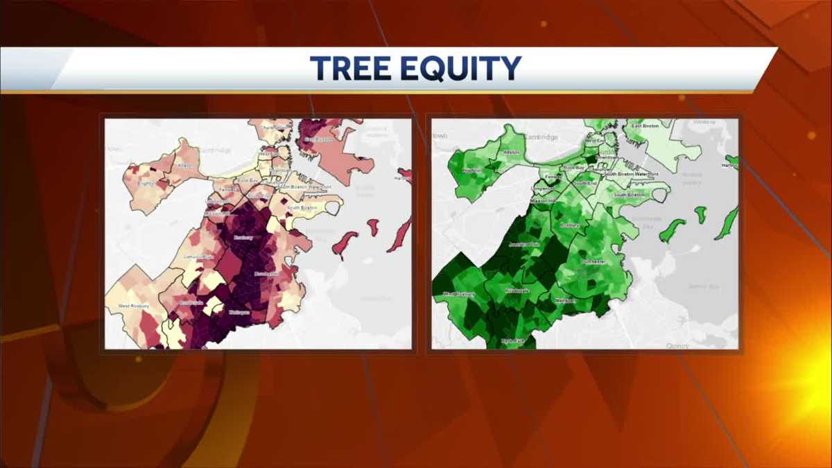 Tree Equity in Boston