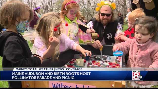 Local nonprofits host event to spread the word about spreading pollen - Vimarsana News