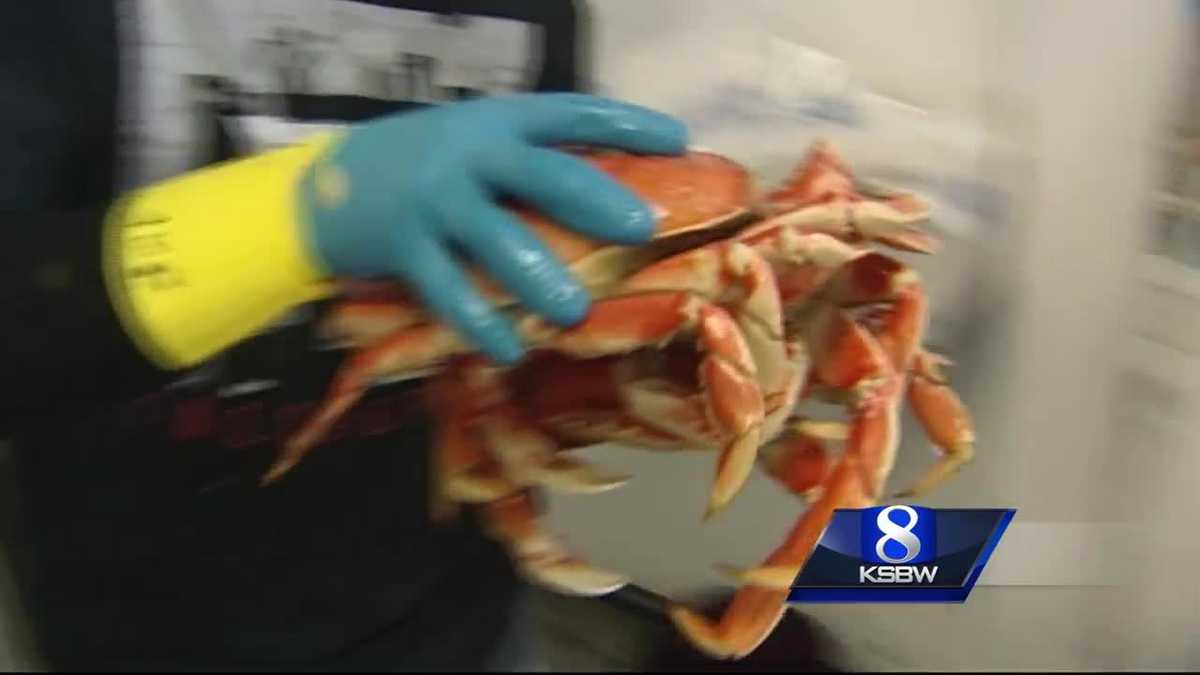 Monterey Bay crabs in high demand