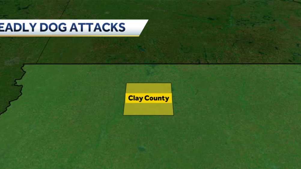 www.kcci.com