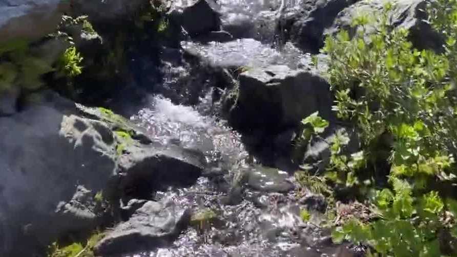 Triple digits, significant Sierra snow leads to emergence of 'snowmelt mosquitos' - Vimarsana News