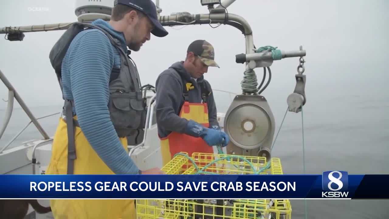 CDFW bans conventional crab traps in Monterey Bay to reduce whale entanglements