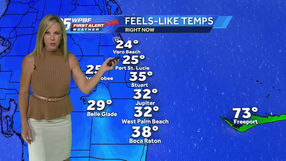 Sandra Shaw's Video Forecast