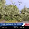 Overnight storms bury Des Moines roads, yards and roofs