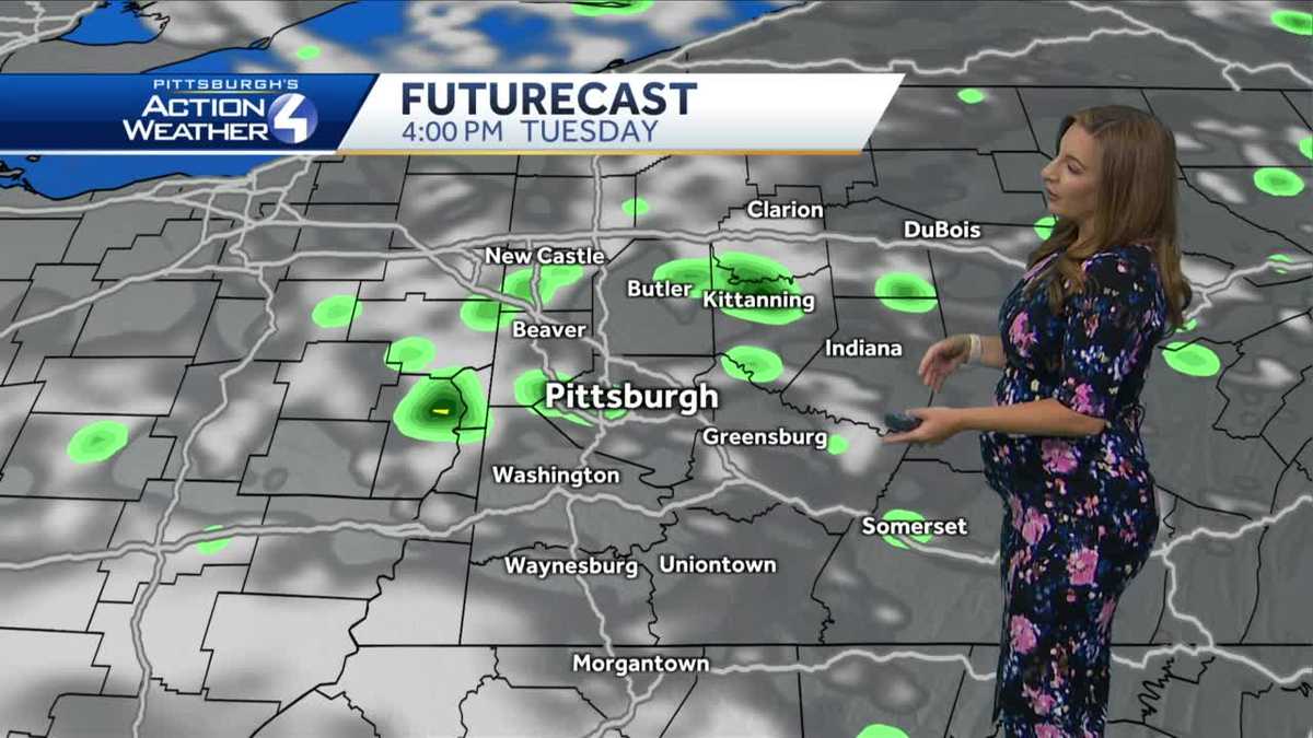 Comfortable; Stray PM Shower