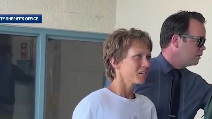 Woman pleads not guilty in Brevard County deadly dog attack