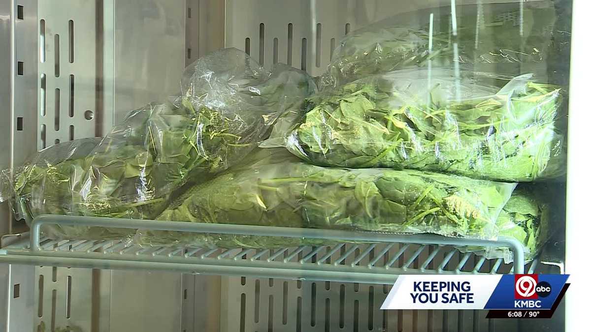 Cyclospora cases on Aug. 5: Numbers grow in Kansas and Missouri - KMBC