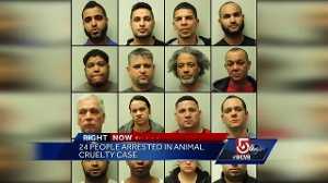 24 arrested in animal cruelty case