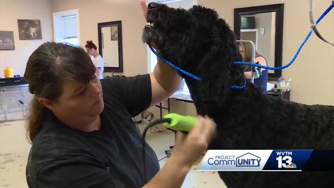 my spoiled pet resort and spa