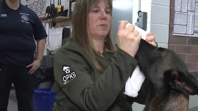 First responders trained to ﻿save K9 officers injured in the line of duty - Vimarsana News