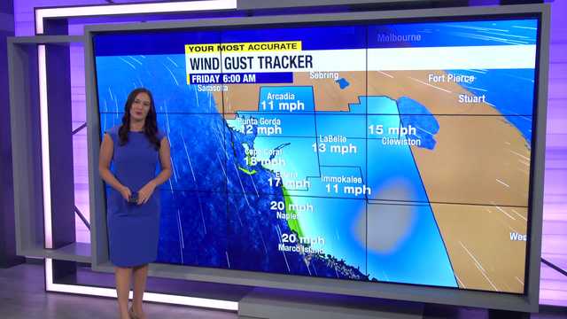 Friday expected to be less windy and humid across Southwest Florida - Vimarsana News