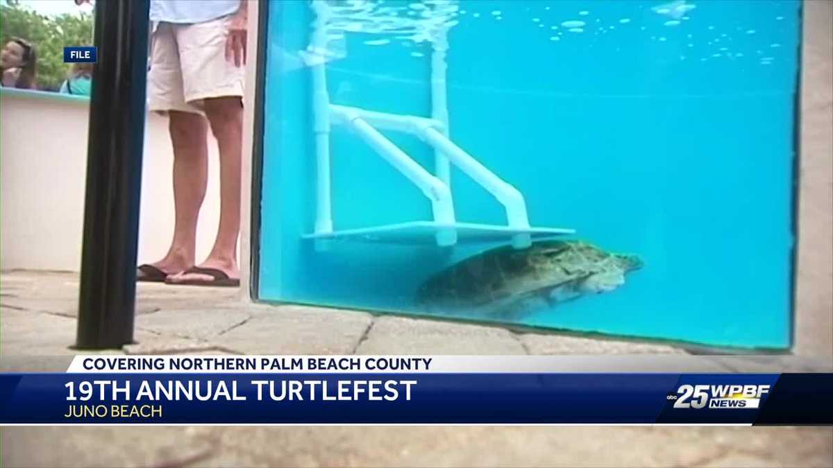 TurtleFest 2024 returns to South Florida