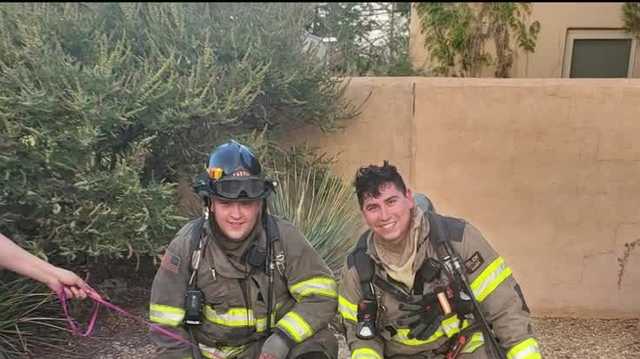Three dogs saved in Las Cruces fire - Vimarsana News