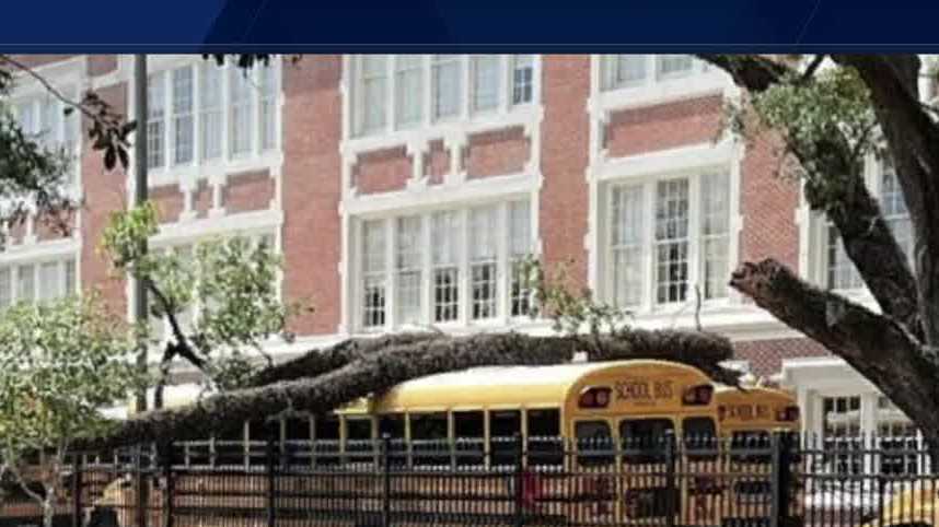New Orleans large tree limb falls on school bus