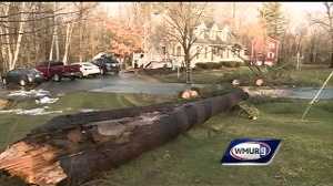 Storm knocks out power of thousands, topples trees