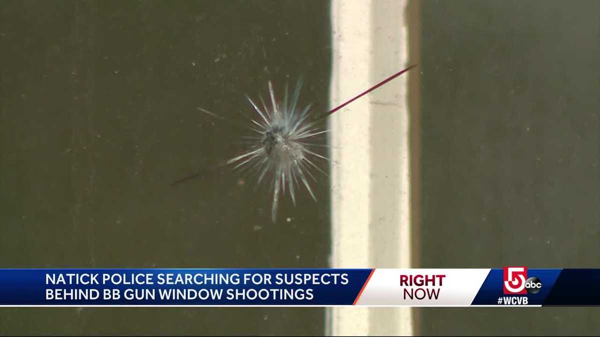 Police searching for Bicycle-riding vandals armed with BB gun
