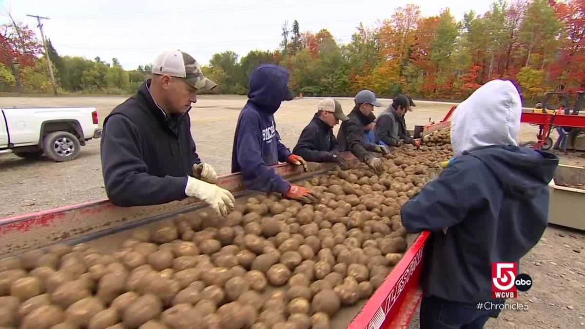 Exploring "The Crown of Maine"