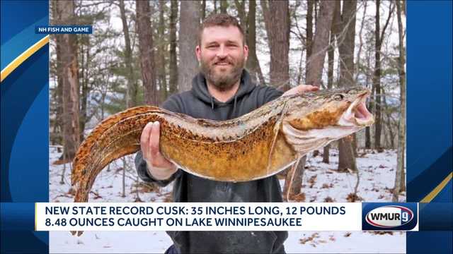 Record-setting cask caught on Lake Winnipesaukee - Vimarsana News