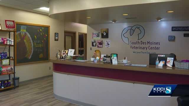 Des Moines businesses release guidelines for mystery dog illness - Vimarsana News