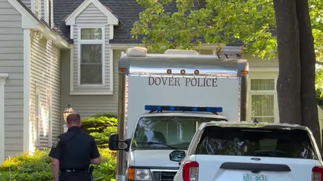 Autopsy results released in Dover death investigation of mother, son