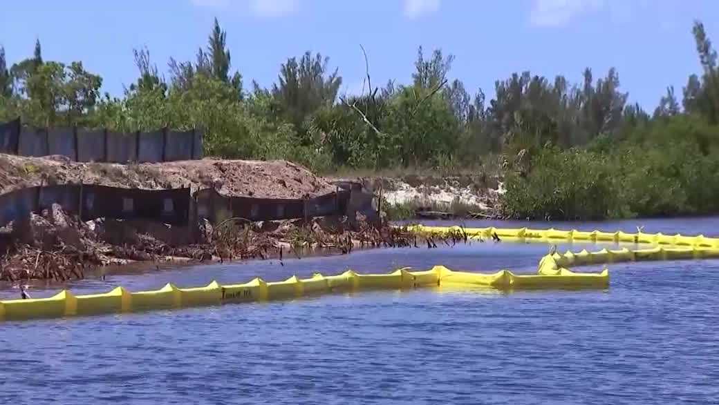 Residents question mangrove clearing near Seven Islands project in Cape Coral