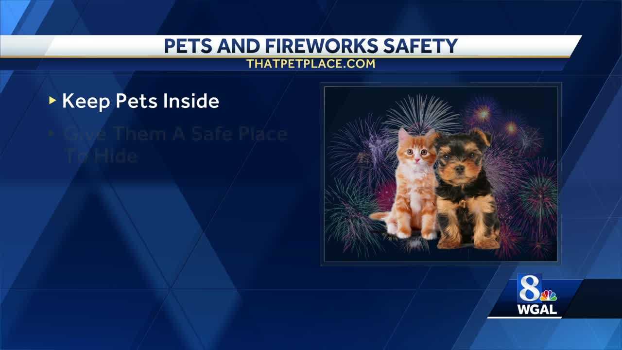 Tips For Pets And Fireworks Safety