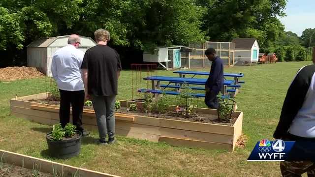 A project that started with seeds continues to grow. - Vimarsana News