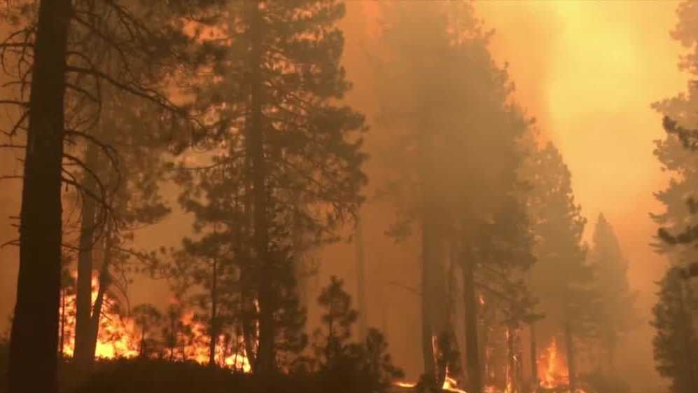 Dixie Fire merges with nearby Fly Fire, Cal Fire says
