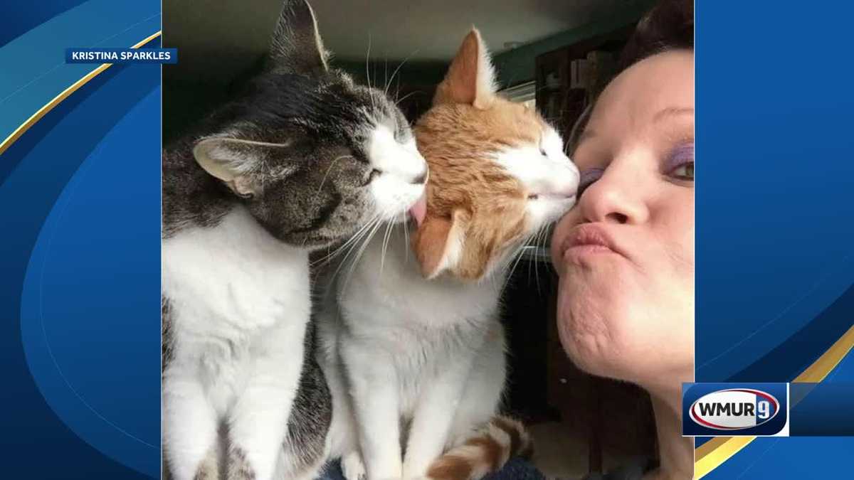 u local hot shot: Pair of cats pose with owner