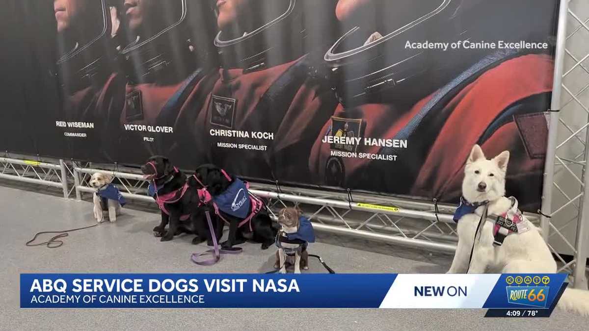Service dogs from New Mexico tour NASA's mission control in Houston