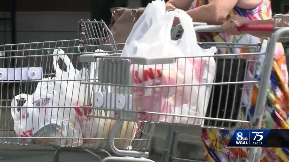 Lancaster Township, Pa., plastic bag ban now in effect