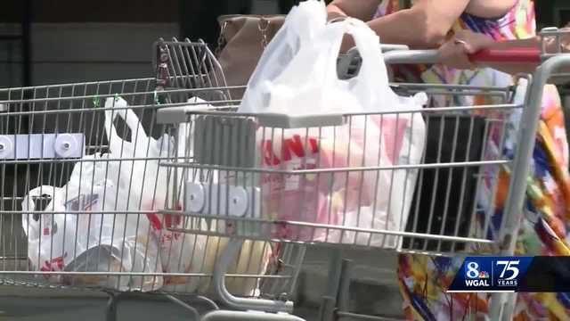 Lancaster Township, Pa., plastic bag ban now in effect - Vimarsana News