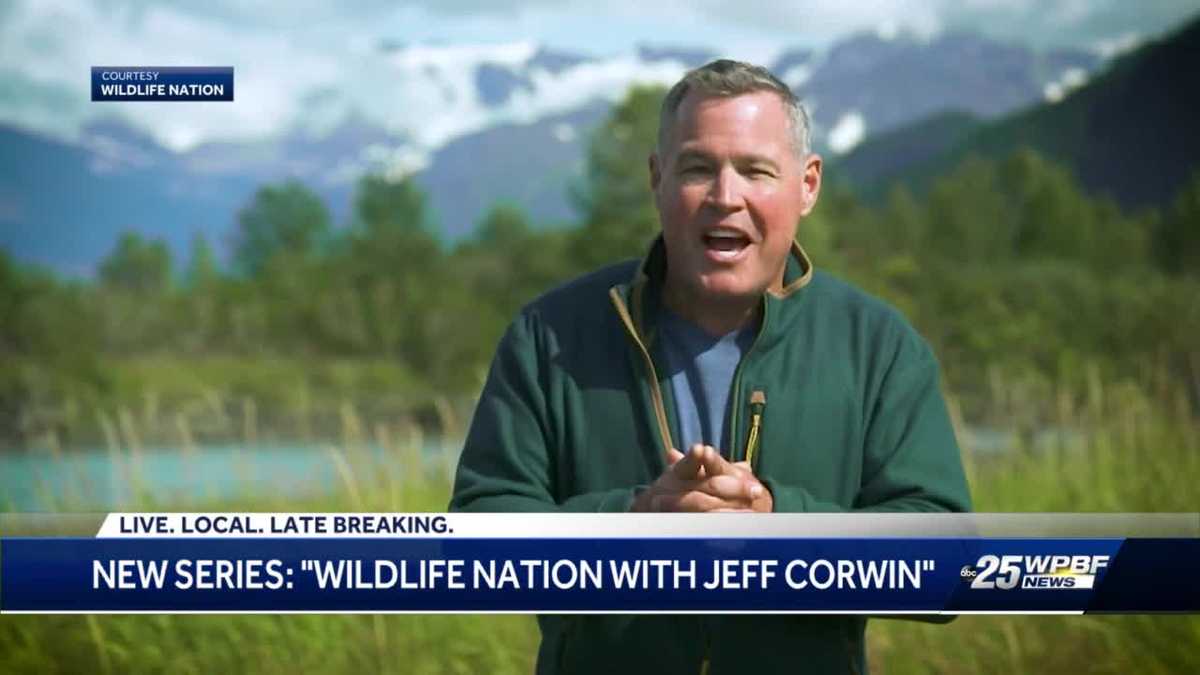 New series: &lsquo;Wildlife Nation with Jeff Corwin&rsquo;